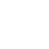 Twitter Icon